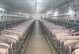 規(guī)模養(yǎng)殖環(huán)境監(jiān)測